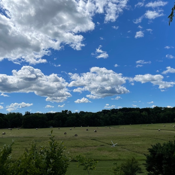 Meet your Posher, Cassandra - Picture 3 of 4